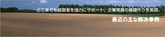 最近の主な解決事例
